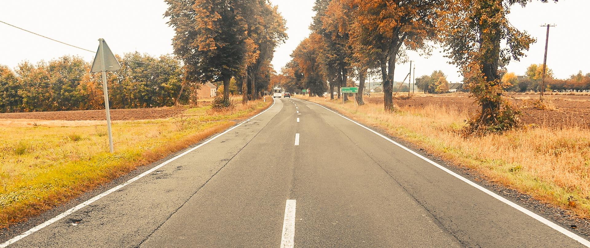 DK46 Lelów — Nakło