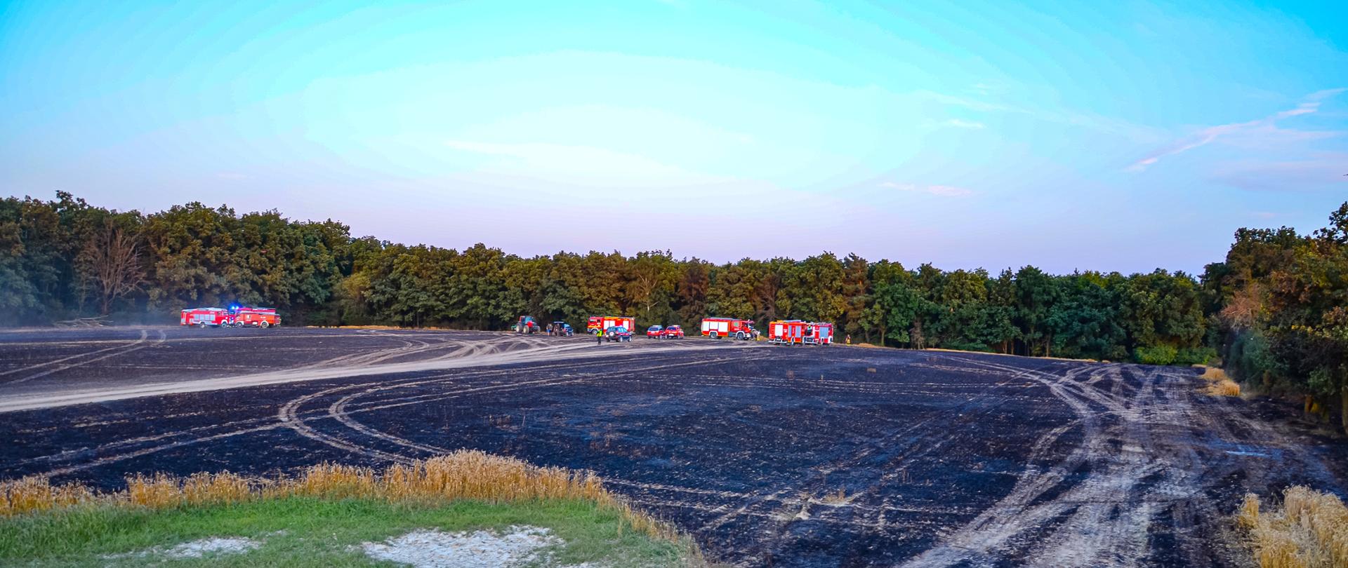 Jednostki na pogorzelisku podczas dogaszania.