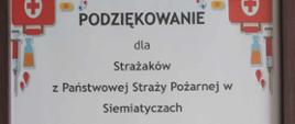 Przedszkole w Czartajewie- pokazy kwalifikowanej pierwszej pomocy
