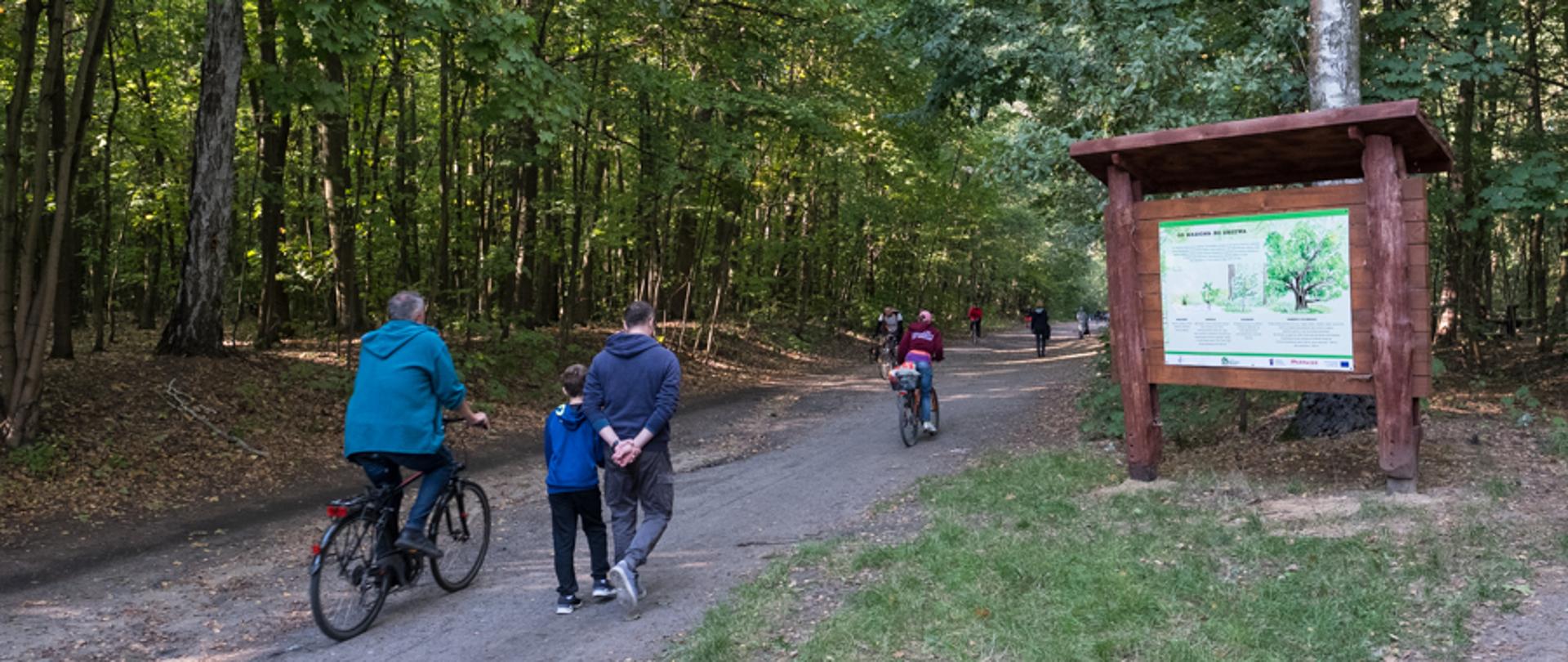 Widok na ścieżkę w lesie, na ścieżce piesi i rowerzyści, dorośli i dzieci, po prawej stronie tablica edukacyjna