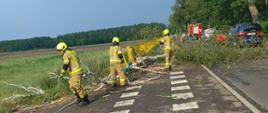 Strażacy usuwający powalone drzewo