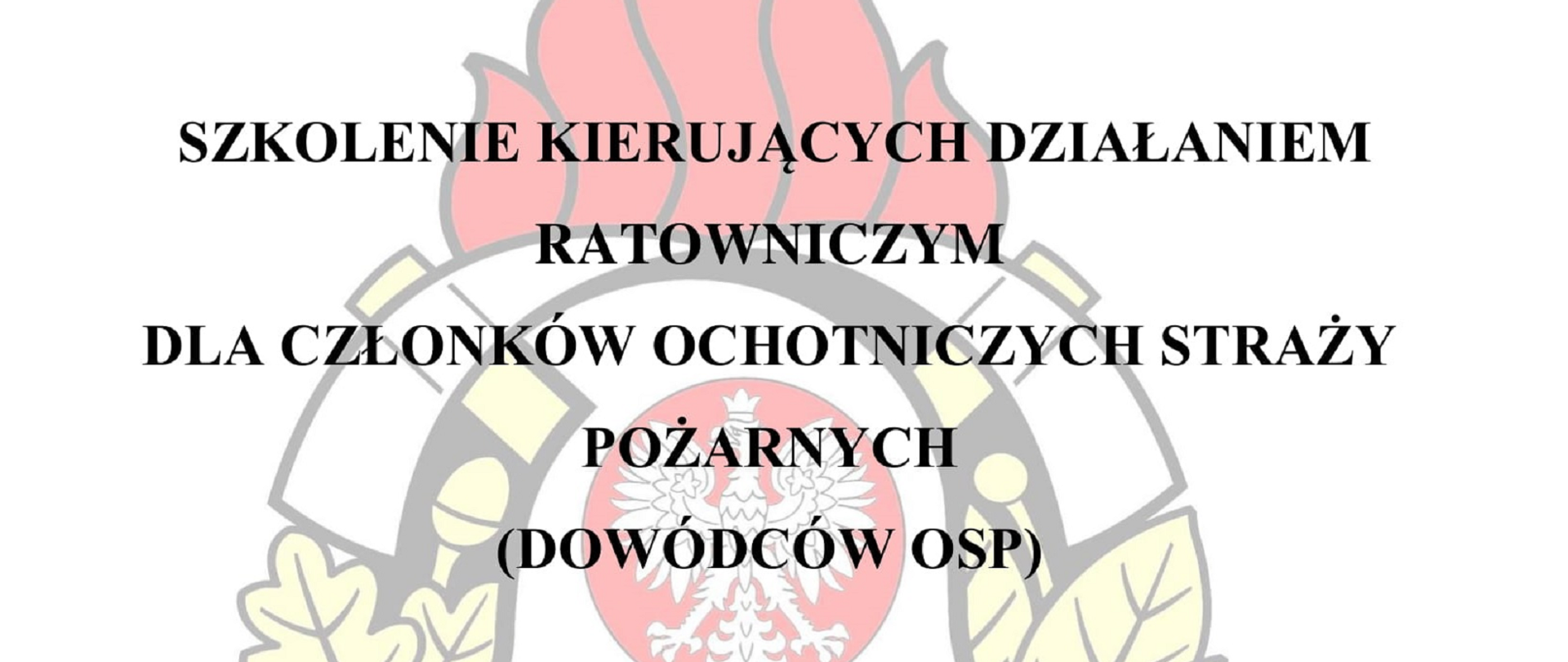 Logo psp w tle informacji o organizacji kursu
