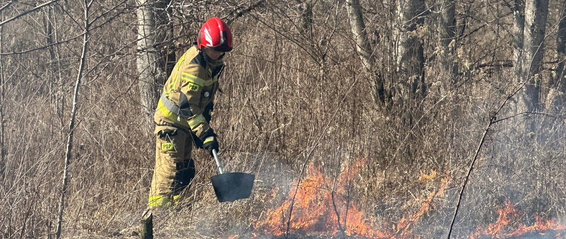 Las, pożar traw, strażak gasi 
