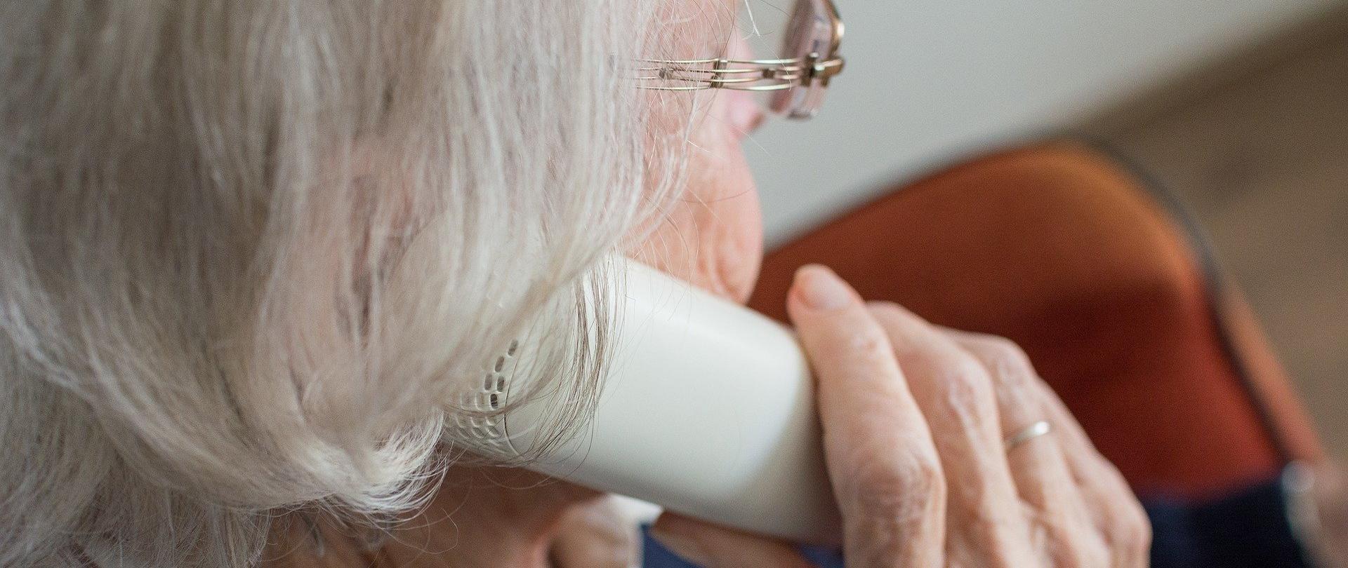 Program Wspieraj Seniora