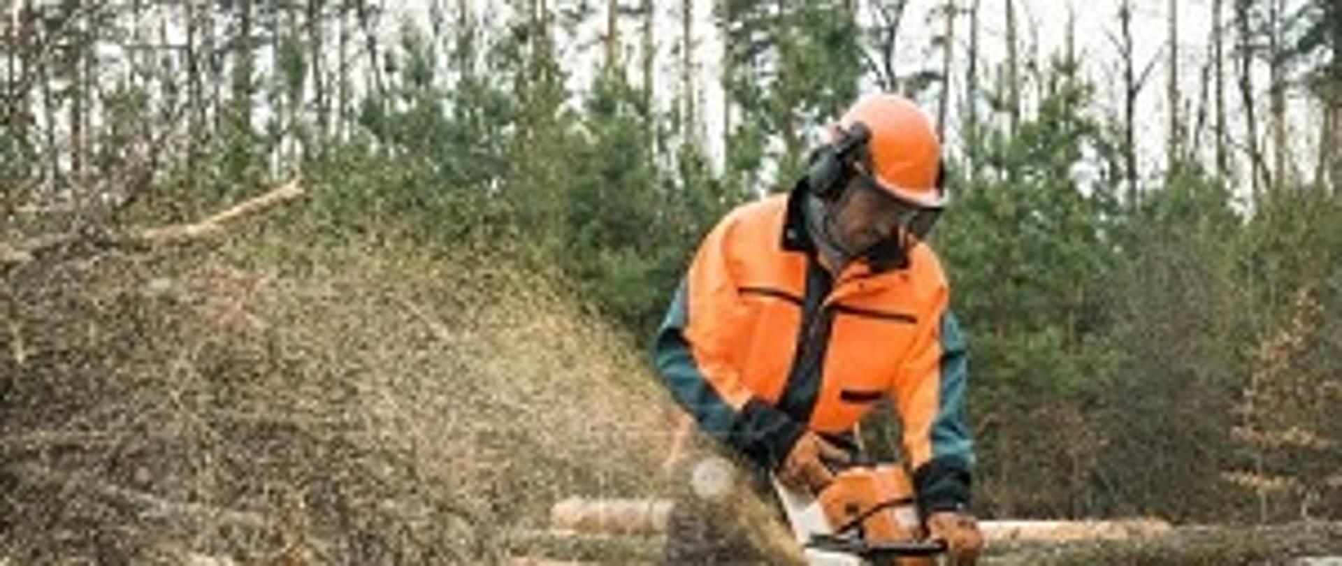 rolnik z piłą mechaniczną