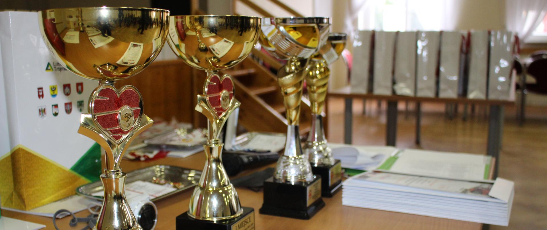 Podsumowanie akcji „Ognisty Ratownik - Gorąca Krew” zdjęcie 5