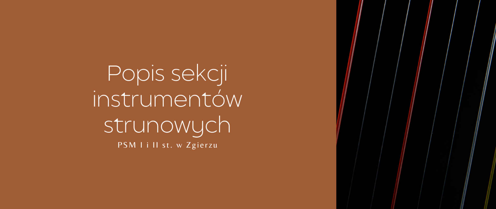 Po lewej stronie, na brązowym tle, biały napis: "Popis sekcji instrumentów strunowych PSM I i II st. w Zgierzu". Po prawej stronie zdjęcie strun.