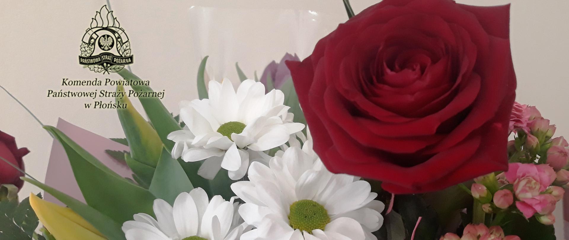 Kwiaty - z prawej czerwona róża, z lewej białe kwiaty rumianku.