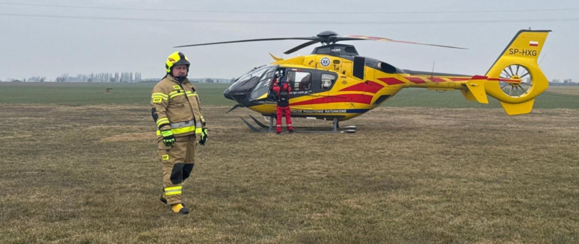 Łąka, na której stoi smigłowiec Lotniczego Pogotowia Ratunkowego. Przy otwartych drzwiach maszyny znajduje się członek załogi. Na pierwszym planie strażak w ubraniu specjalnym i żółtym hełmie, który zabezpiecza lądowisko. W oddali widoczne sa drzewa
