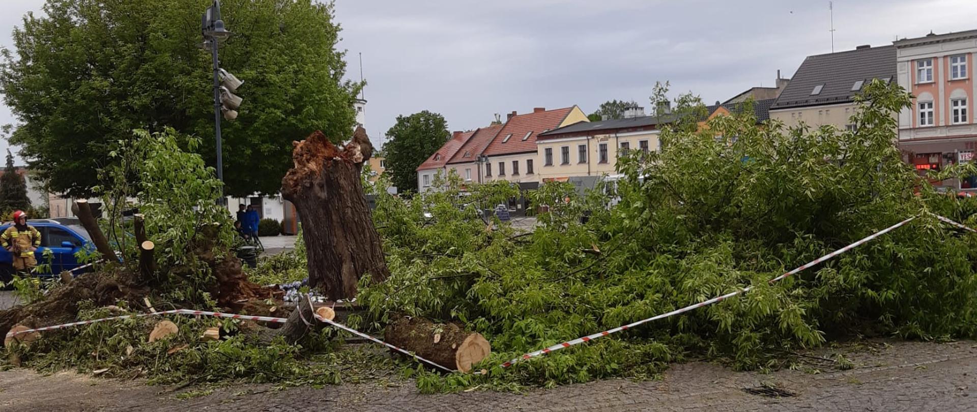 Na zdjęciu widać przewrócone drzewo na płytę wągrowieckiego rynku 