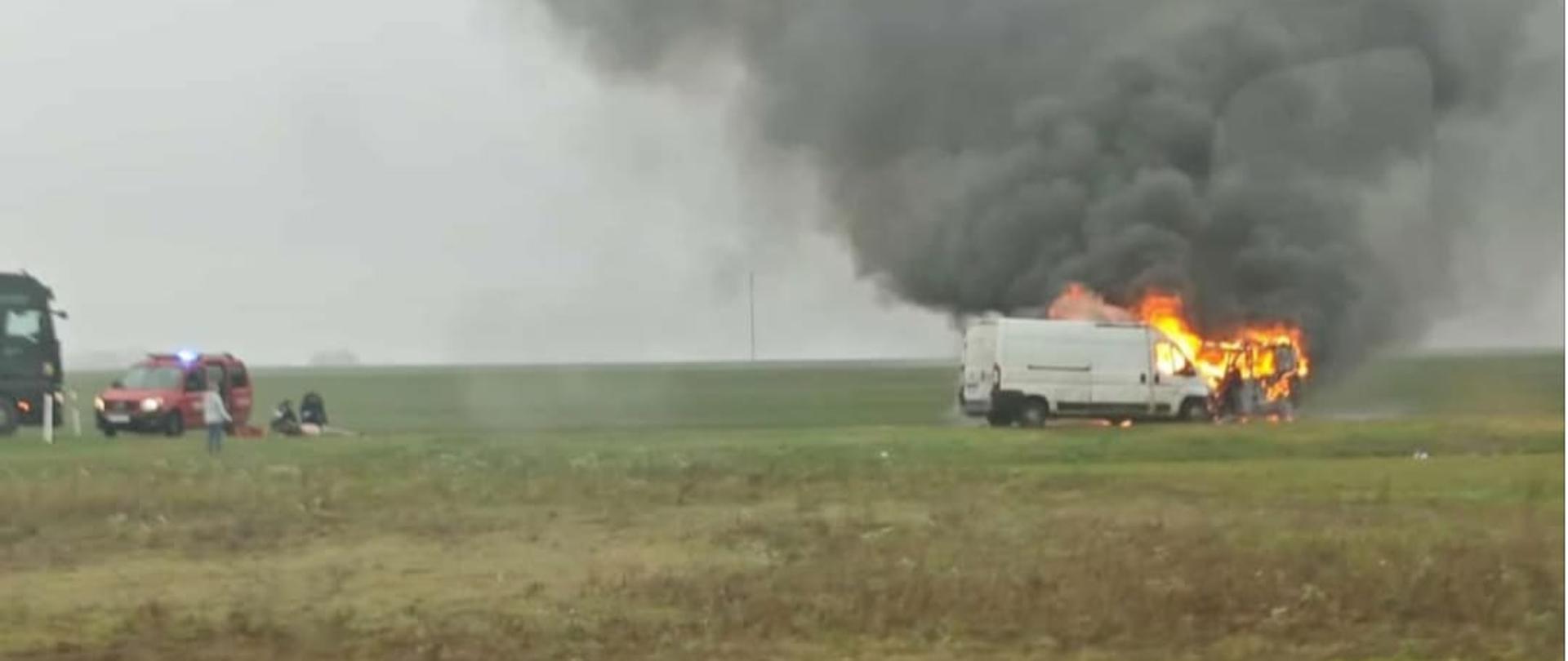 Na zdjęciu widnieją strażacy w trakcie akcji. 