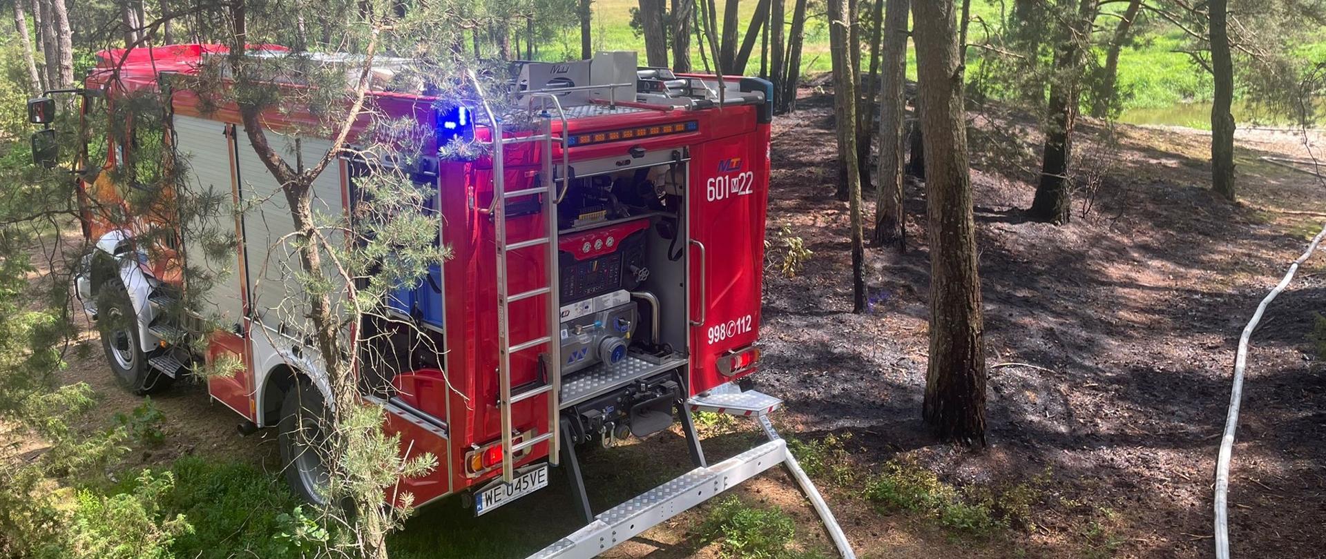 11.06.2023 Ceteń fot. sekc. Łukasz Jacewicz