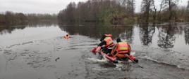 Na rozmarzającej tafli jeziora utrzymuje się w wodzie jedna osoba, w jej kierunku na desce lodowej płynie trzech ratowników w kamizelkach z napisem STRAŻ na plecach.
