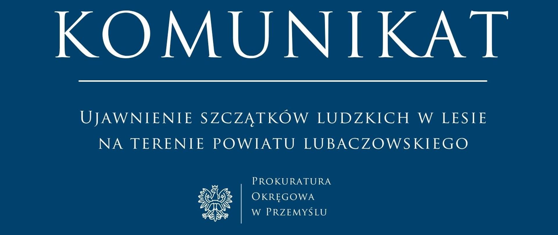 Grafika-prokuratury_2025_–_kopia_(11)111