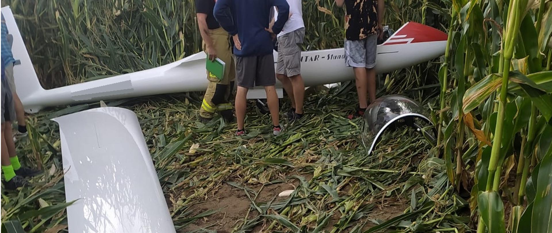 Szybowiec stoi na polu kukurydzy. Na ziemi leży osłona kabiny. Obok stoją osoby.