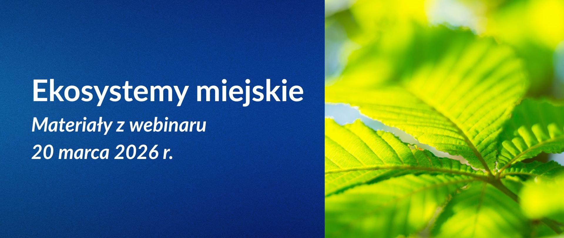 webinar dot. ekosystemów miejskich