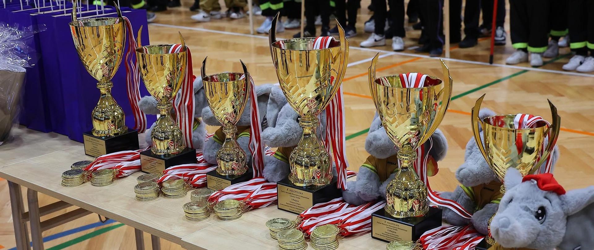 Wojewodzki_Zawody_MDP_w_Małopolsce