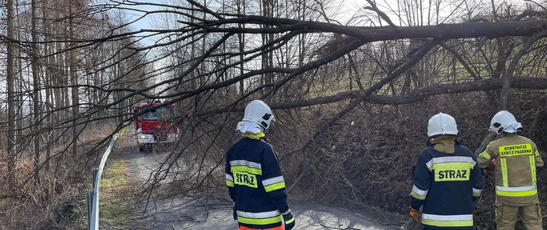 Strażacy przed powalonym drzewem na drodze.
