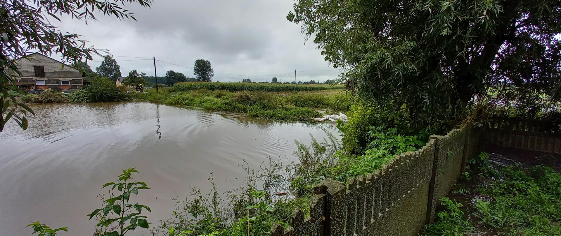 widok rozlewiska rzeczki Pisi