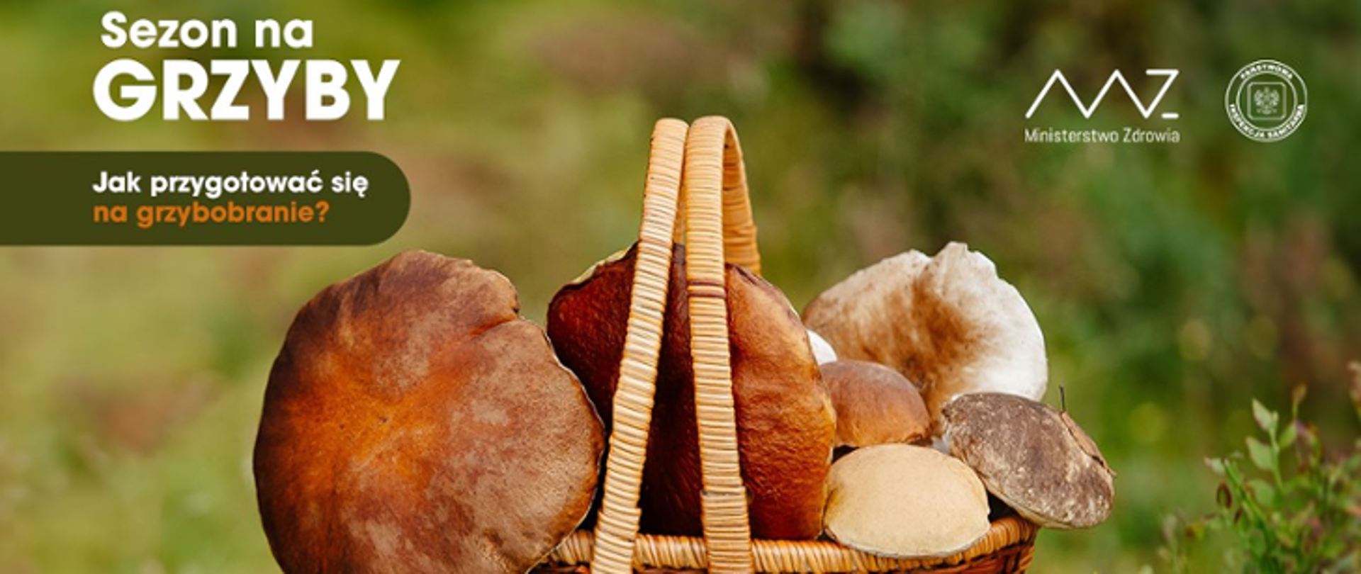 Zdjęcie przedstawia kosz pełen grzybów