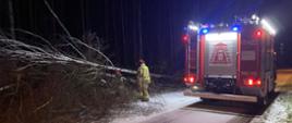 Powalone drzewo leżące na poboczu jezdni w Nowej Dębowej Woli. Zdjęcie wykonane w porze nocnej, w tle dwóch strażaków oraz oświetlony samochód ratowniczo-gaśniczy