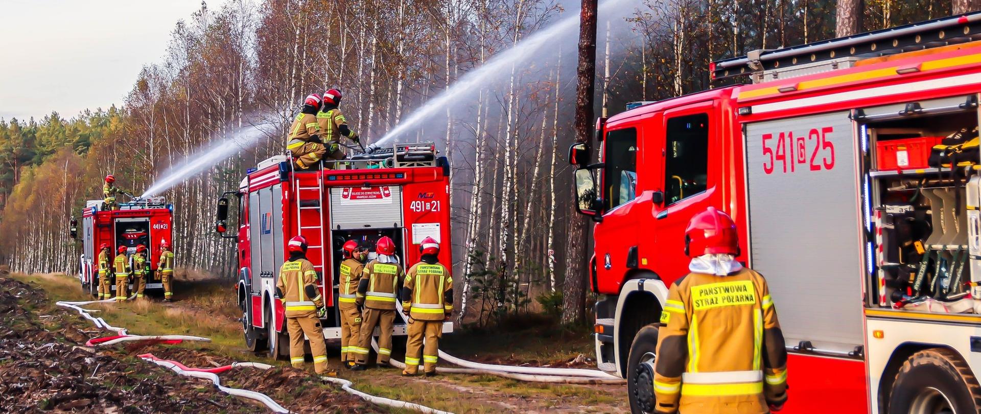 Zdjęcie przedstawia pojazdy uczestniczące w ćwiczeniach podające wodę.