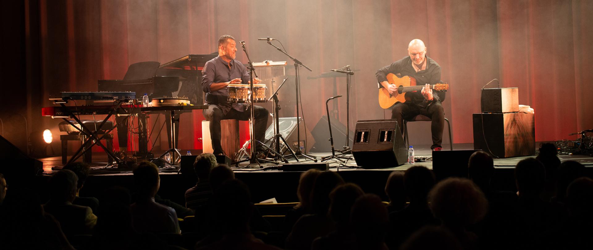 Koncert Adama Palmy w Porto