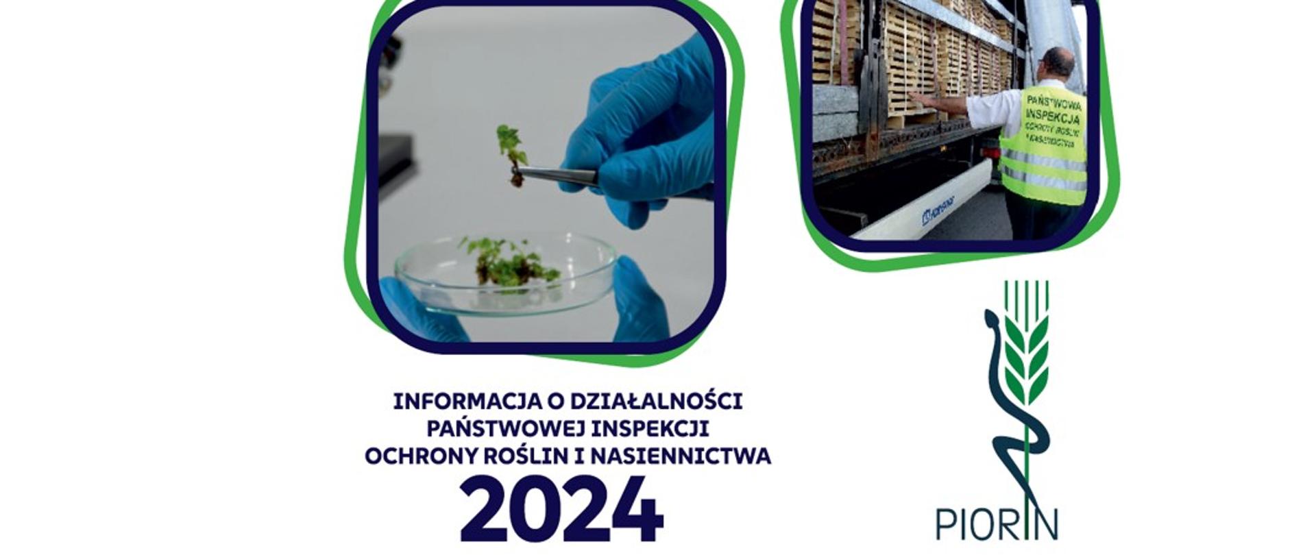 Infografika u dołu napis granatowa czcionką Informacja o działalności PIORiN 2024 i logo, u góry zdjęcia 