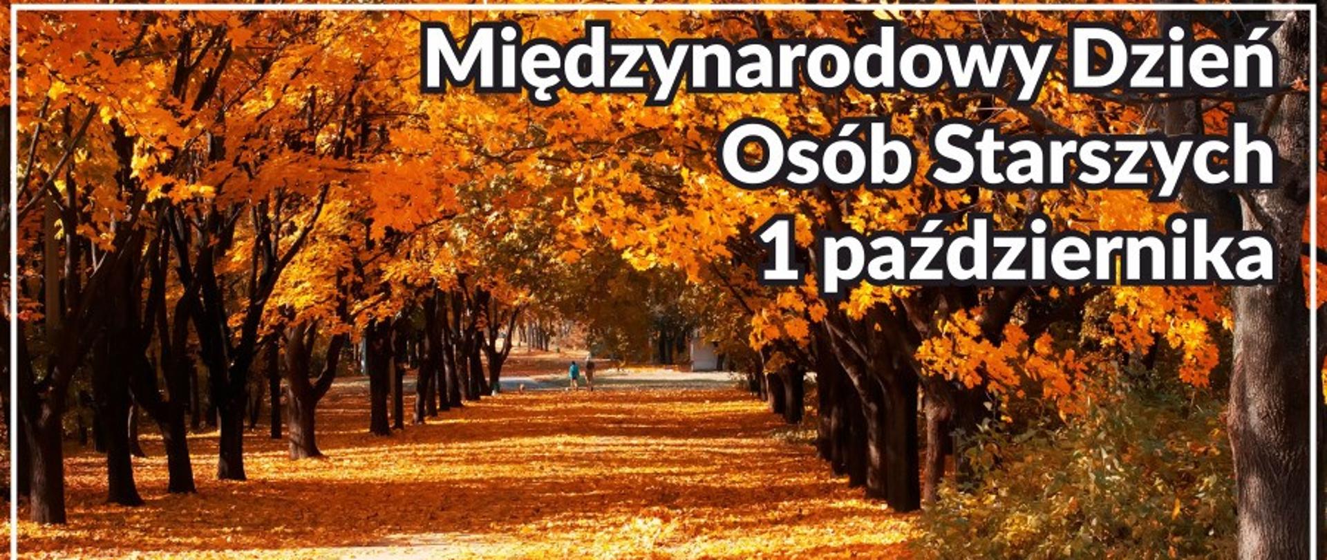 Międzynarodowy Dzień Osób Starszych