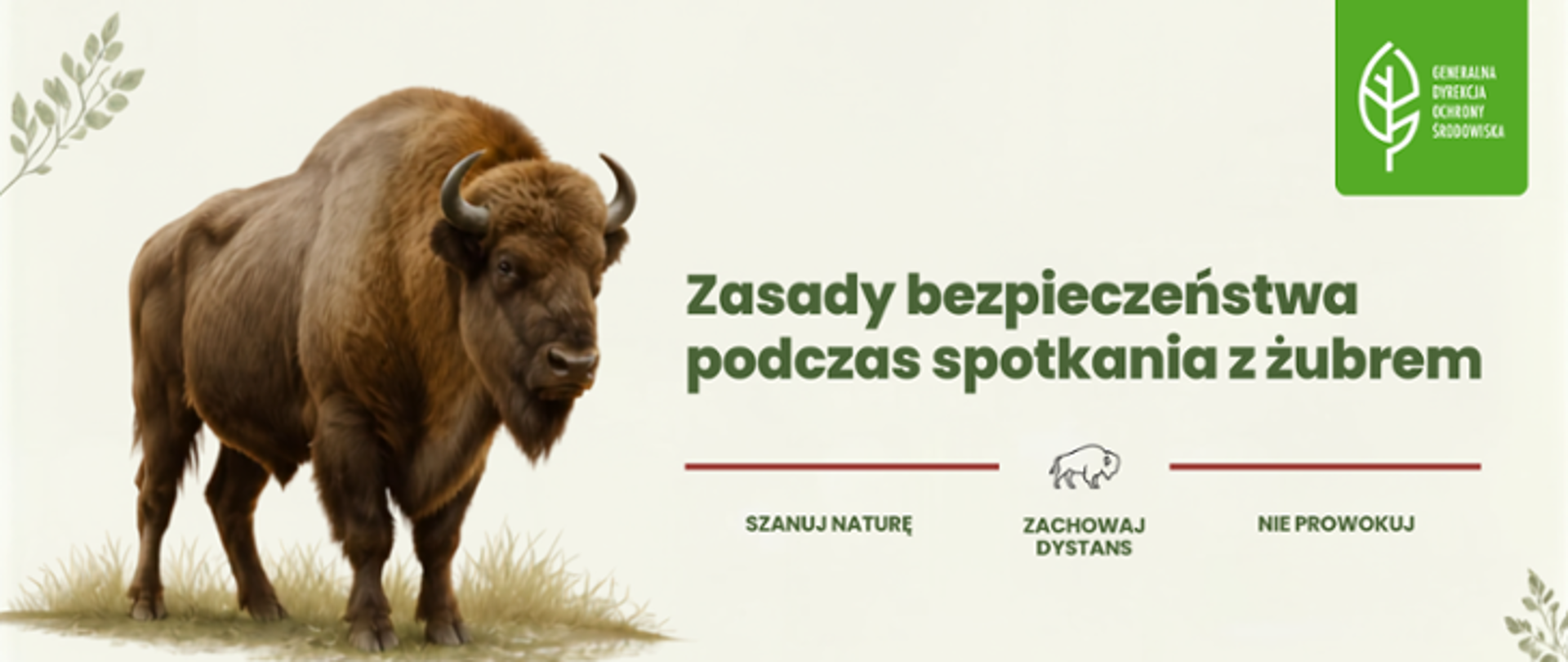 Grafika informacyjna z żubrem