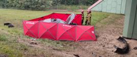  Na środku zdjęcia widoczny jest rozbity samochód osobowy z podniesioną maską do góry. Pojazd otoczony jest czerwonym parawanem z napisem STRAŻ. Za parawanem stoi trzech strażaków, którzy ubrani są w nomeksy koloru piaskowego z żółtymi odblaskami i czerwonymi hełmami na głowach. Przed rozbitym pojazdem na skarpie widoczne są uszkodzone elementy pojazdu. Po prawej stronie zdjęcia widać część betonowego wiaduktu w kolorze zielono czerwonym. Po lewej stronie zdjęcia widać pas zieleni oraz leżący zderzak tuż obok pojazdu. W oddali widoczne są drzewa liściaste oraz iglaste, a także ogrodzenie wykonane z siatki.