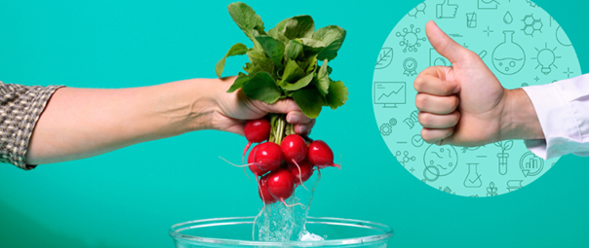 #EUChooseSafeFood Higiena żywności