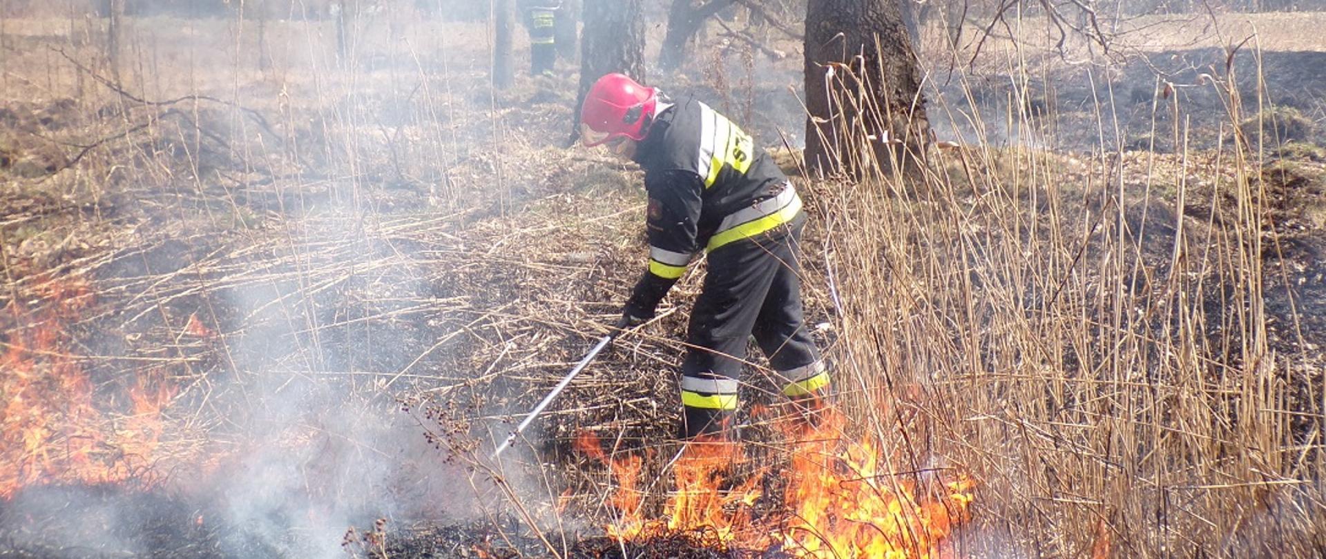 Na zdjęciu widzimy strażaka gaszącego pożar trawy na nieużytkach tłumicą. Na dalszym planie widzimy strażaka gaszącego pożar trawy za pomocą wody.