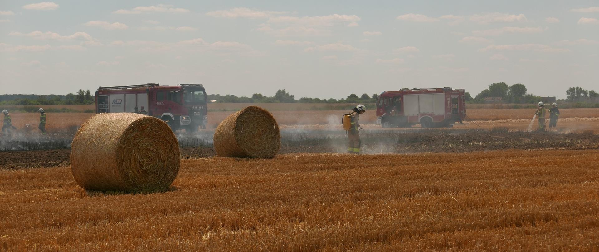 Dogaszanie ścierniska