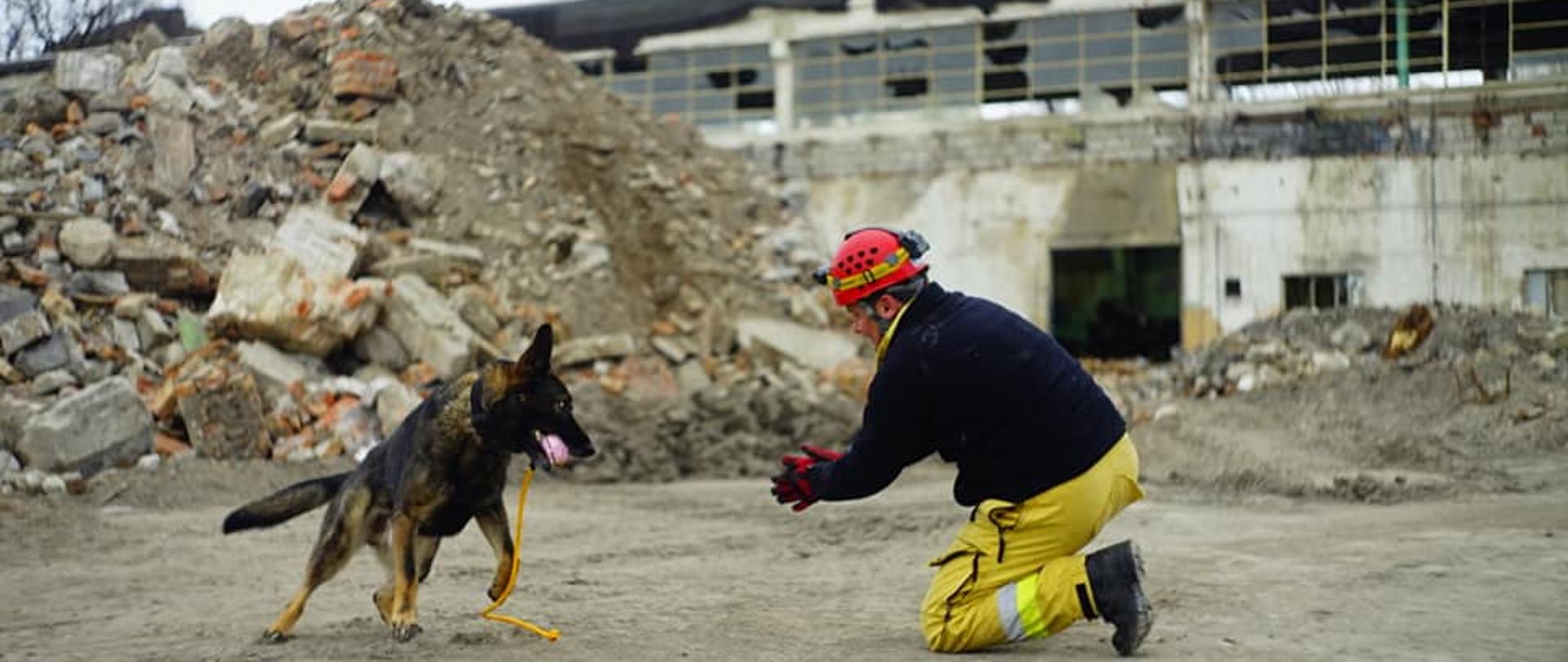 Przygotowania do sesji egzaminacyjej zespołów ratowniczych na poligonie w Żaganiu