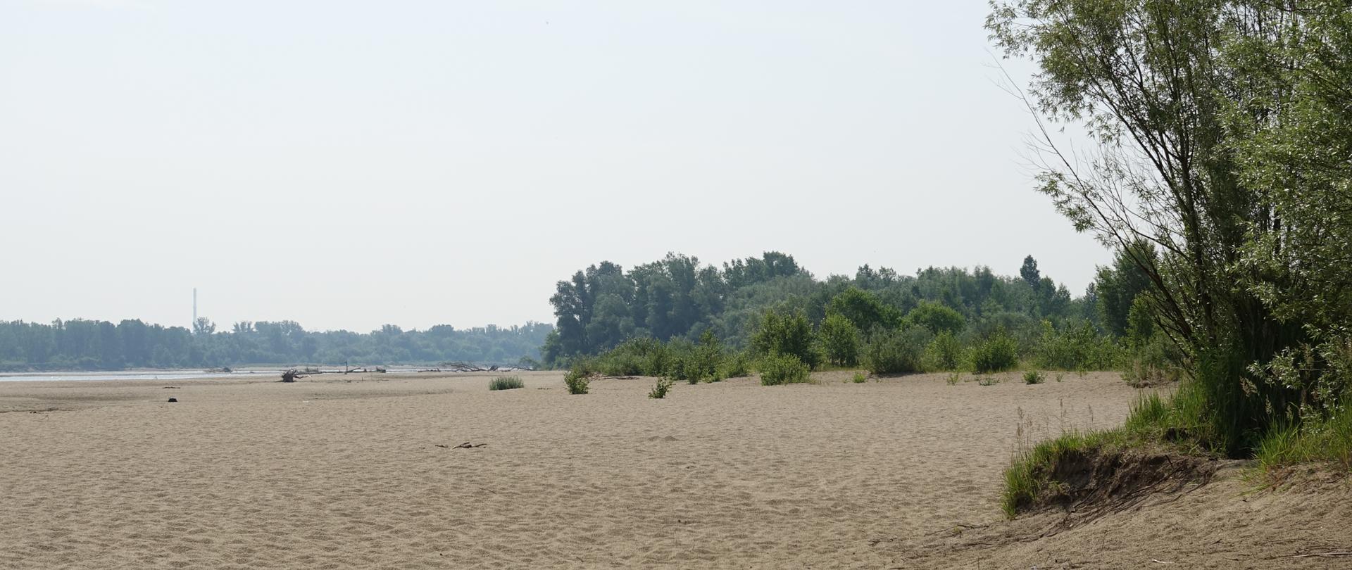 Plaża, w oddali widać fragment rzeki , po prawej stronie zadrzewienia