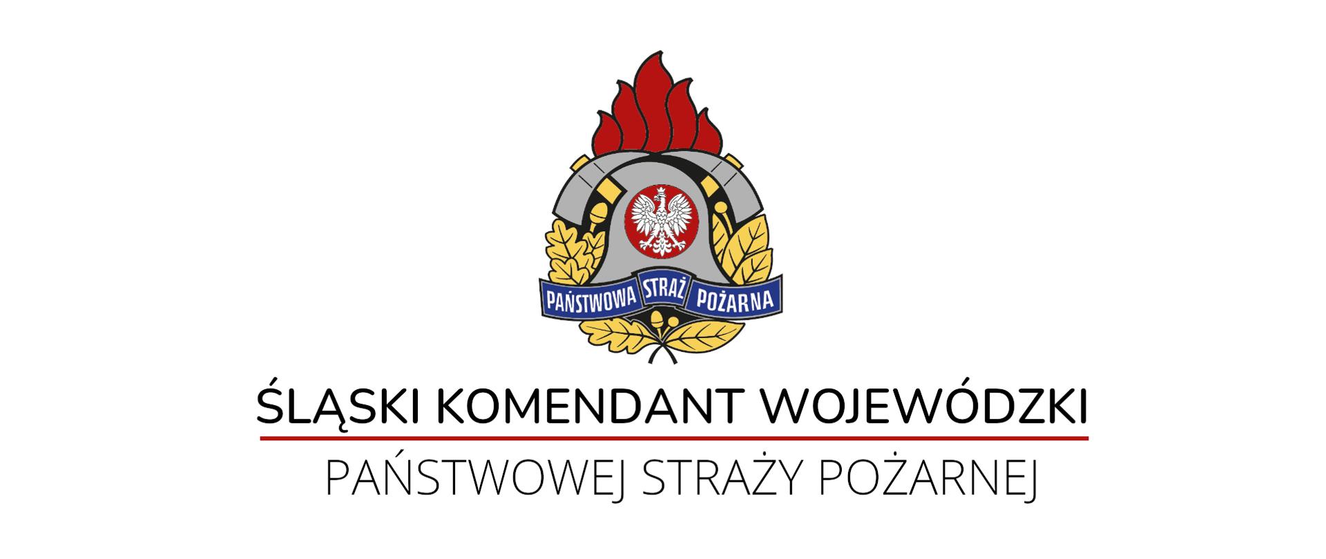 Śląski Komendant Wojewódzki Państwowej Straży Pożarnej