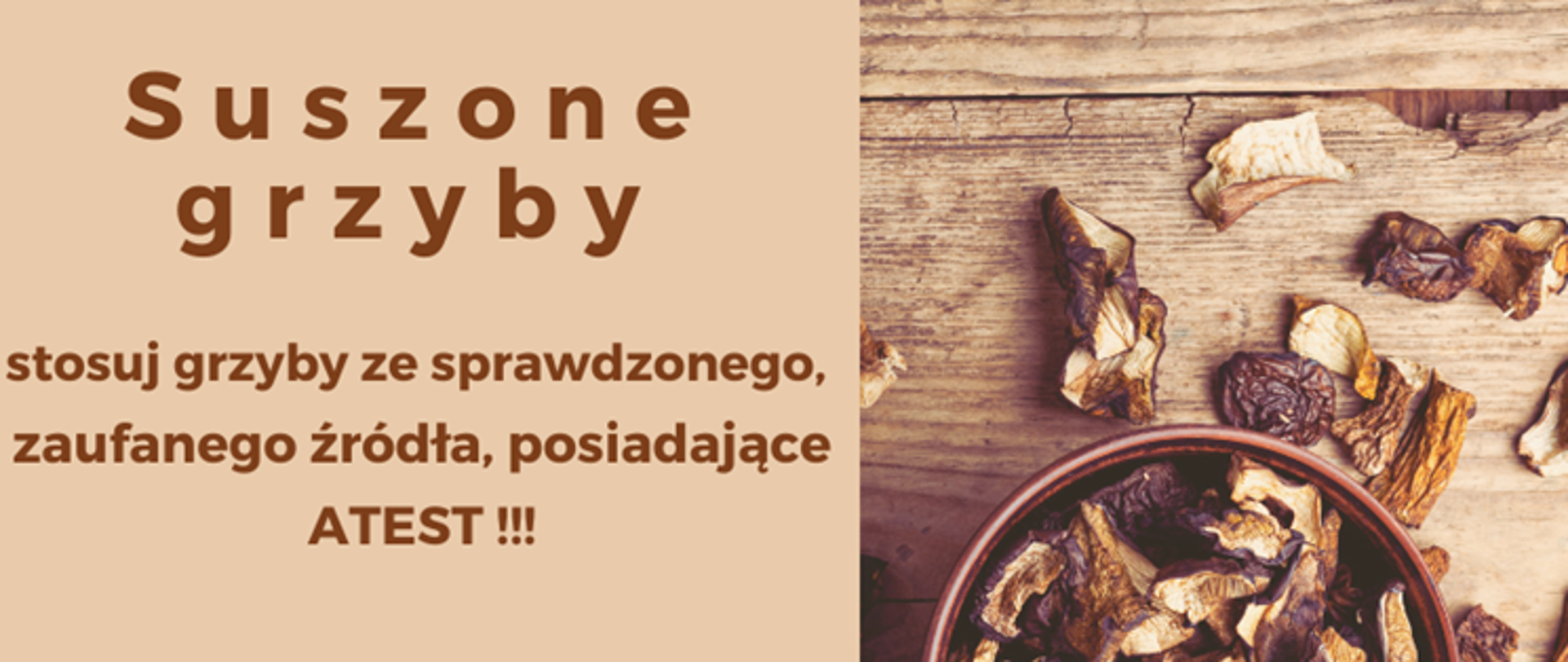Suszone_grzyby_panorama