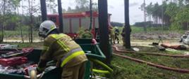 Ćwiczenia strażaków w Nadleśnictwie Grodziec [25.06.2024]