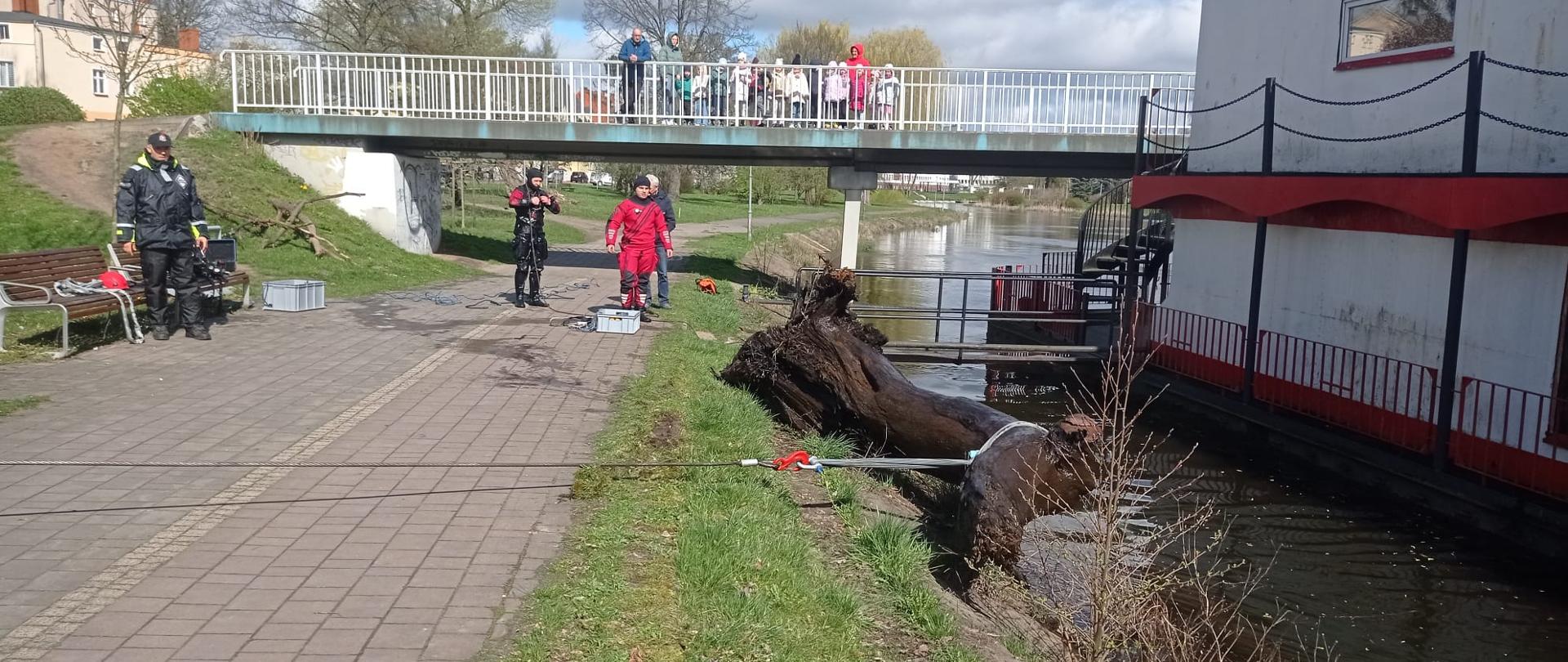 Duży konar drzewa wyciągany na brzeg rzeki.