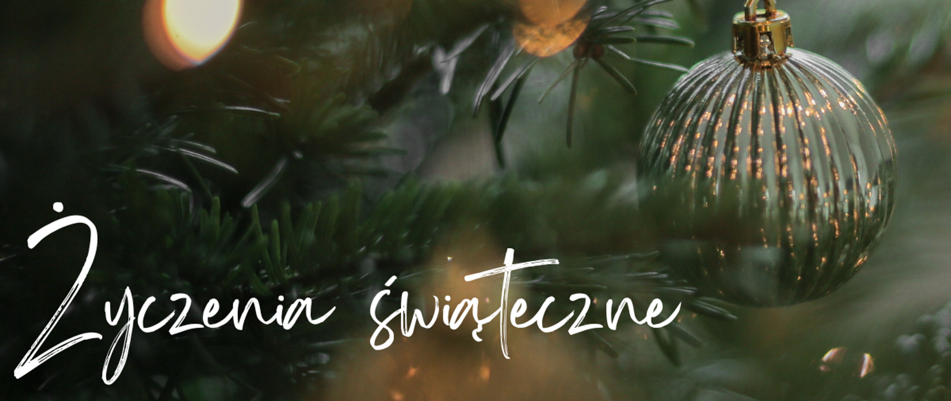 Biały napis "Życzenia świąteczne" na tle zielonej choinki z zapalonymi lampkami. Po prawej stronie srebrna bombka.