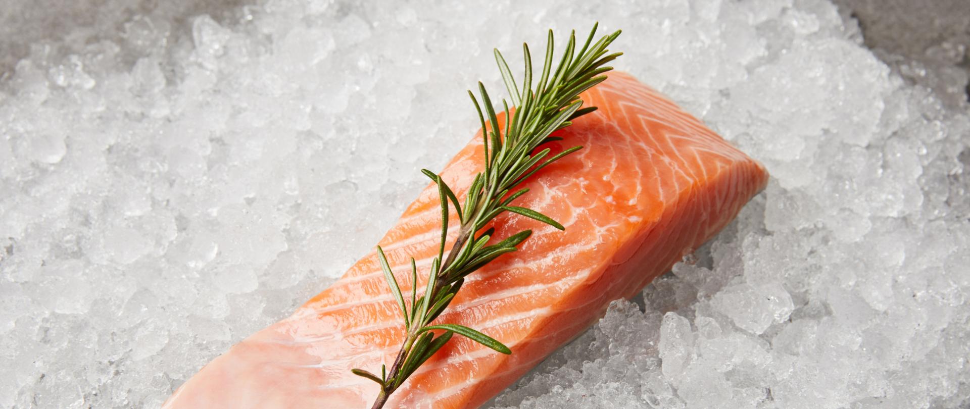 Na zdjęciu jest filet z łososia z rozmarynem. Ryba leży na lodzie.