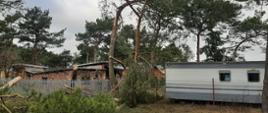 Na zdjęciu widoczne jest drzewo powalone na ogrodzenie. Obok znajduje się domek holenderski.
