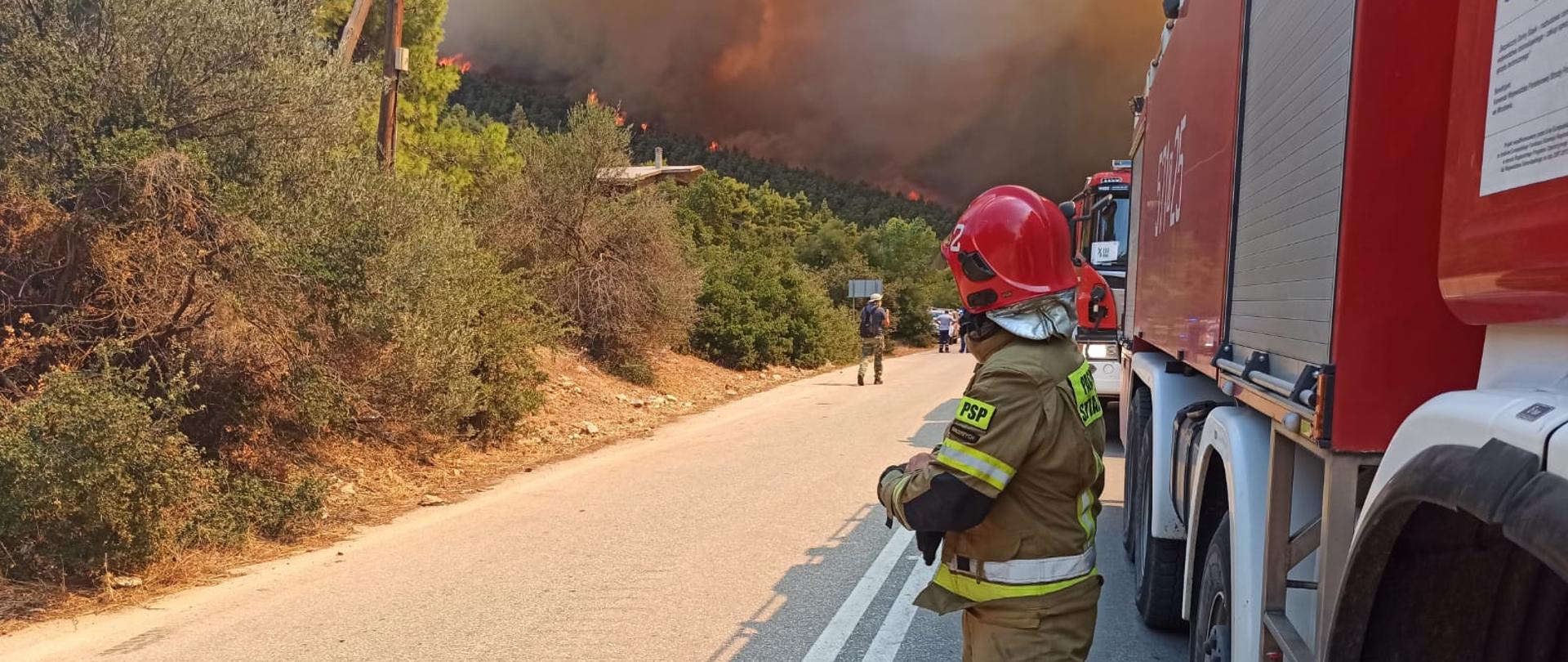 strażak w mundurze bojowym w kolorze piaskowym i czerwonym hełmie, obok czerwony samochód strażacki. W tle pożar lasu