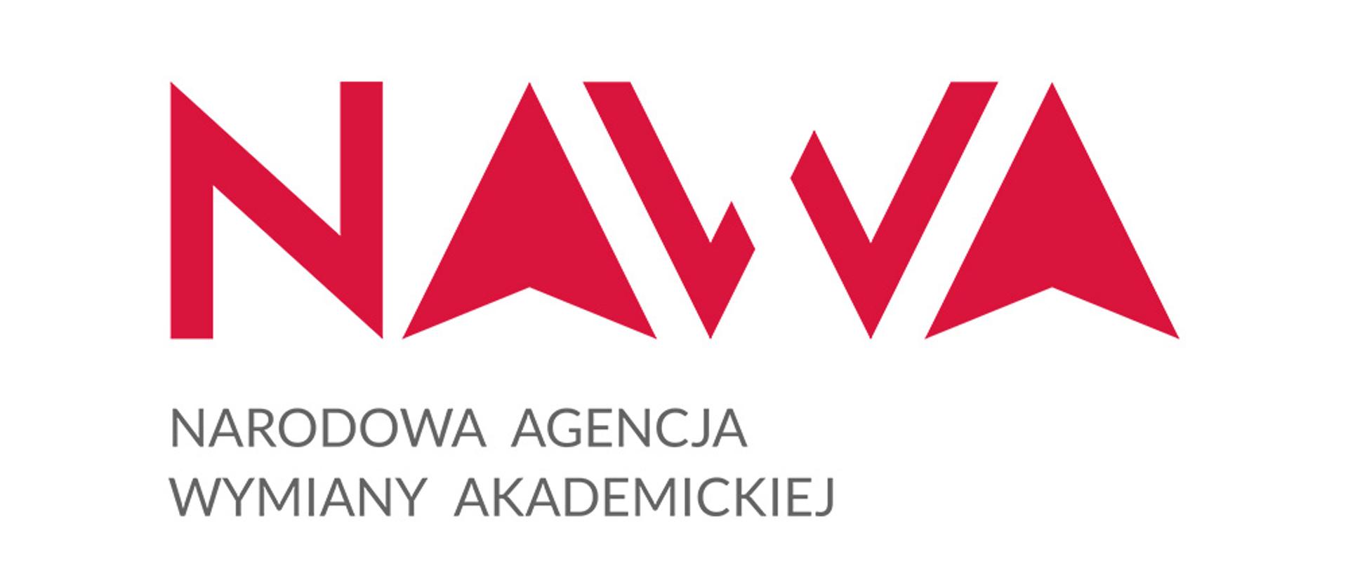 NAWA summer courses of the Polish language and culture
