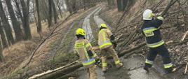 strażacy usuwają powalone drzewo z drogi przy wykorzystaniu pilarki do drewna. W oddali inne drzewa