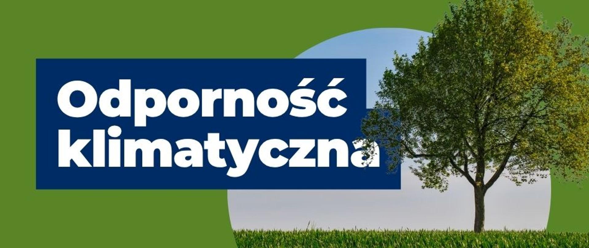 baner Odporność klimatyczna 