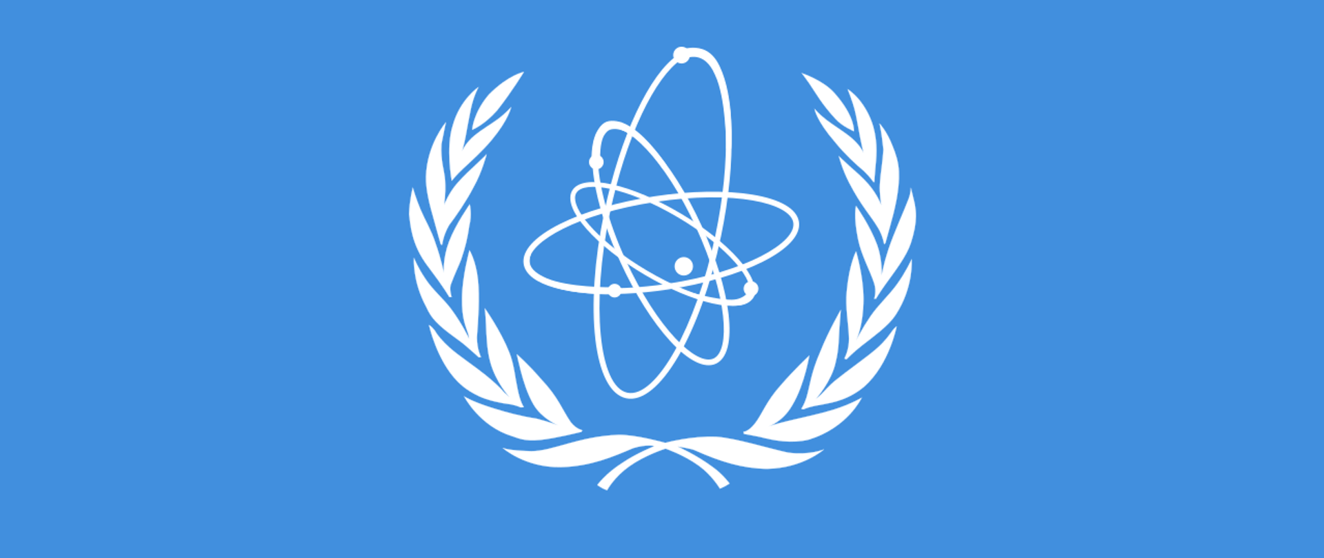 Międzynarodowa Agencja Energii Atomowej 