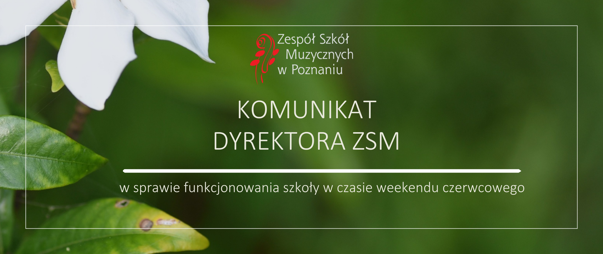 Baner na zielonym tle ze zdjęciem liści i białego kwiatka. Po środku logo ZSM oraz napis KOMUNIKAT DYREKTORA ZSM w sprawie funkcjonowania szkoły w czasie weekendu czerwcowego
