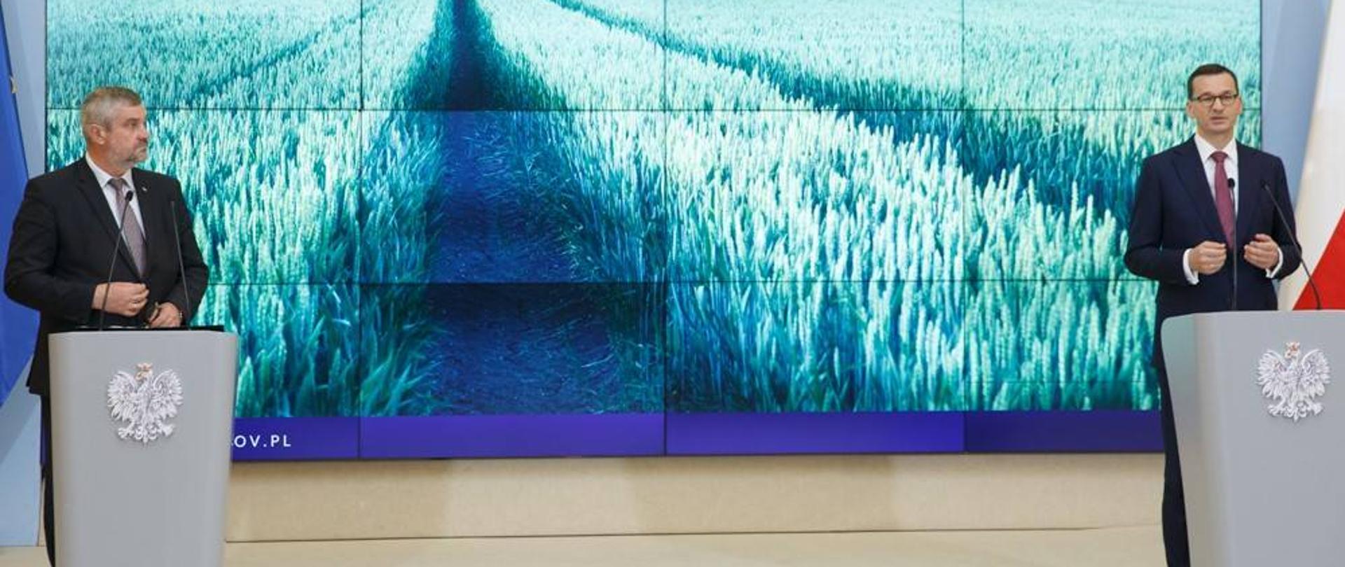 Premier Morawiecki oraz minister Ardanowski podczas konferencji